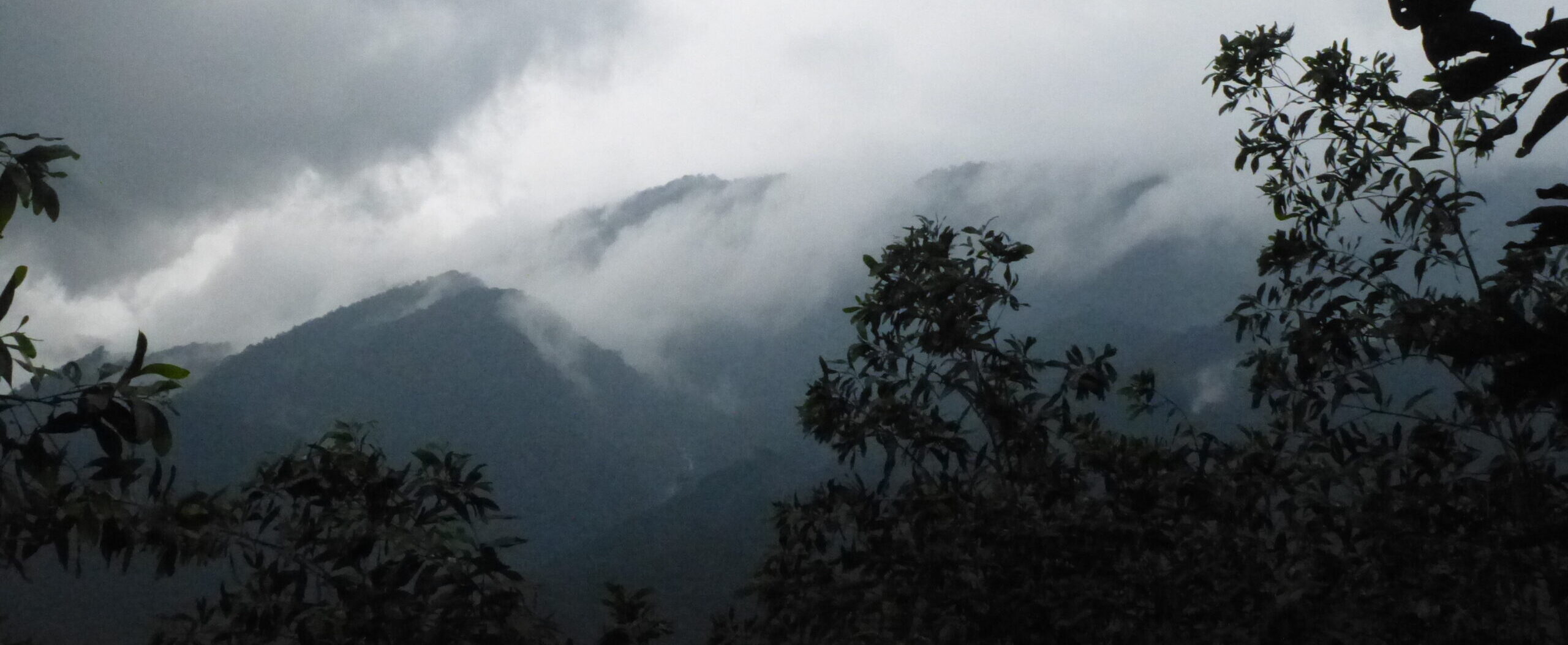 Jungle-covered mountains with mist